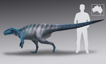 A life-reconstruction of the 200-million-year-old dinosaur track-maker from Mount Morgan. Credit: Anthony Romilio.
